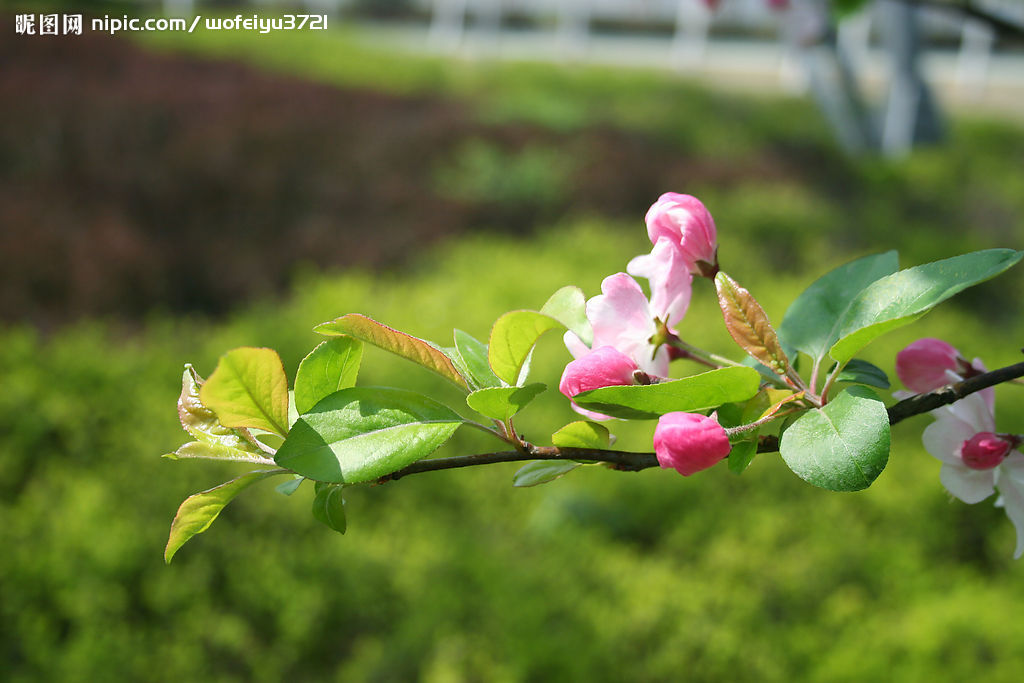 docker-compose一键搭建gitlab