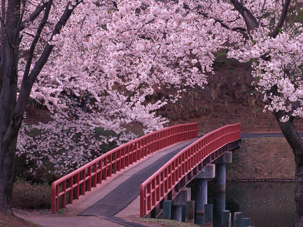 spring boot  Sharding-jdbc 分表分库